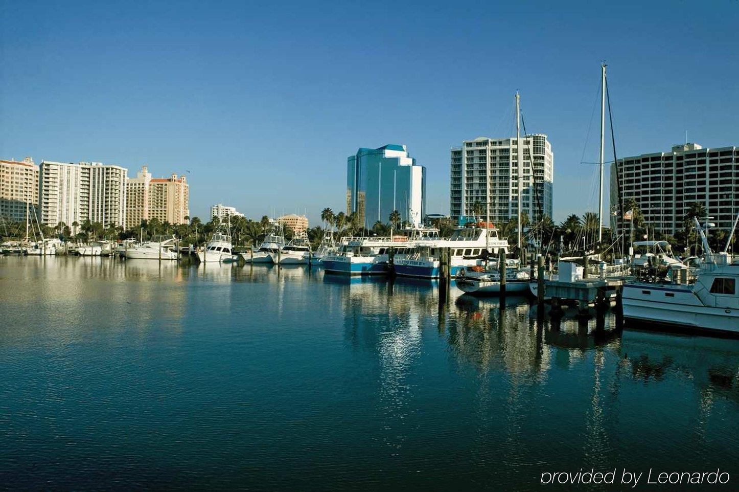 Hilton Garden Inn Sarasota-Bradenton Airport Kültér fotó