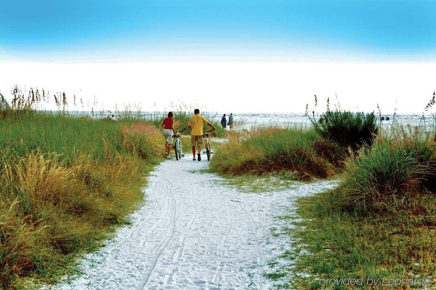Hilton Garden Inn Sarasota-Bradenton Airport Kültér fotó